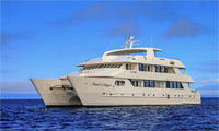 Treasure of Galapagos